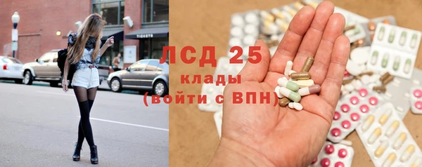 дурь Краснослободск