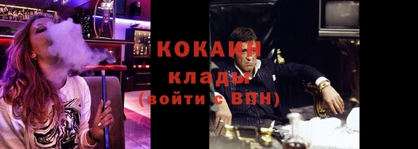 дурь Краснослободск