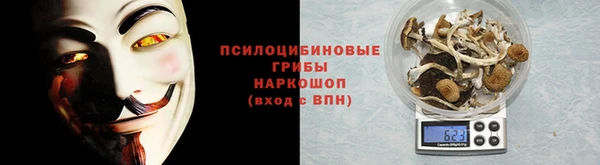 дурь Краснослободск