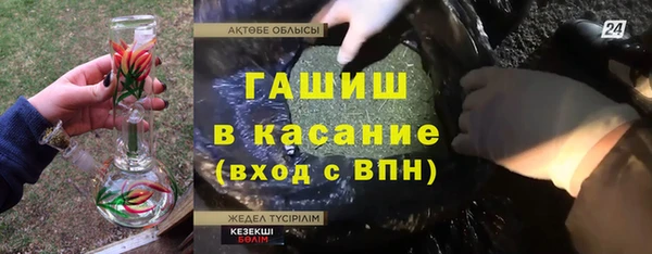 дурь Краснослободск