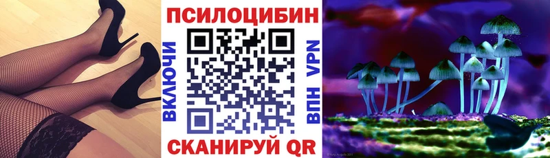 Псилоцибиновые грибы Psilocybe  Купить  Хабаровск 